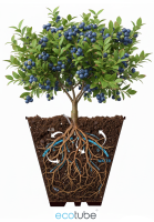 ecotube circle - Flower pot irrigation